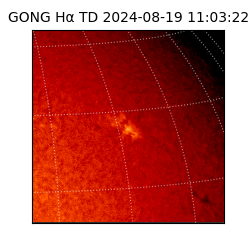 gong - 2024-08-19T11:03:22