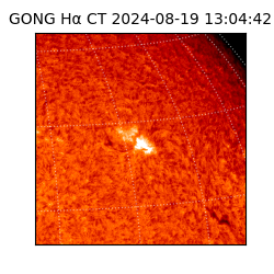 gong - 2024-08-19T13:04:42