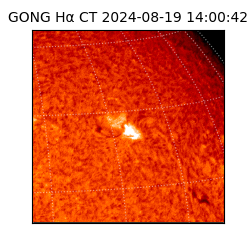 gong - 2024-08-19T14:00:42