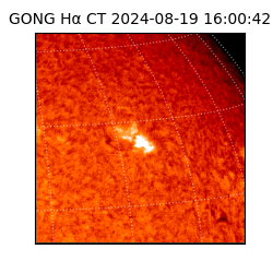 gong - 2024-08-19T16:00:42