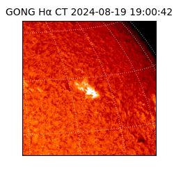 gong - 2024-08-19T19:00:42