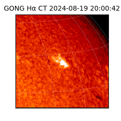 gong - 2024-08-19T20:00:42