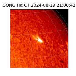 gong - 2024-08-19T21:00:42