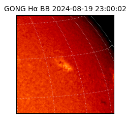 gong - 2024-08-19T23:00:02