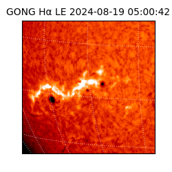 gong - 2024-08-19T05:00:42