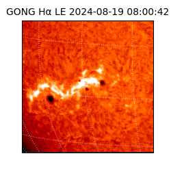 gong - 2024-08-19T08:00:42