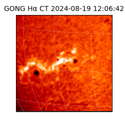 gong - 2024-08-19T12:06:42