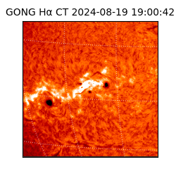 gong - 2024-08-19T19:00:42