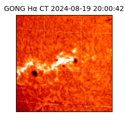 gong - 2024-08-19T20:00:42
