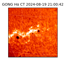 gong - 2024-08-19T21:00:42