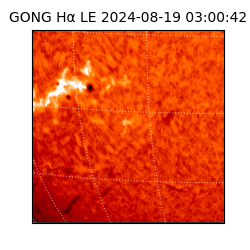 gong - 2024-08-19T03:00:42