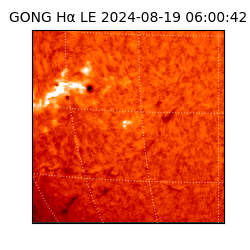 gong - 2024-08-19T06:00:42