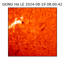 gong - 2024-08-19T08:00:42