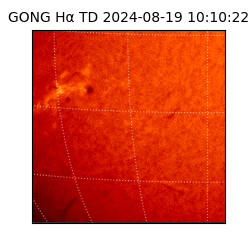 gong - 2024-08-19T10:10:22