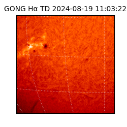 gong - 2024-08-19T11:03:22