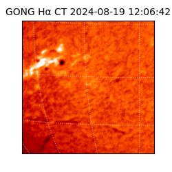 gong - 2024-08-19T12:06:42