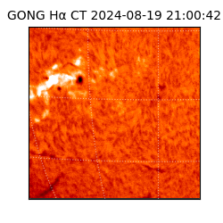 gong - 2024-08-19T21:00:42