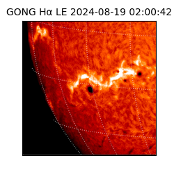 gong - 2024-08-19T02:00:42