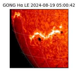 gong - 2024-08-19T05:00:42