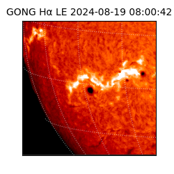 gong - 2024-08-19T08:00:42