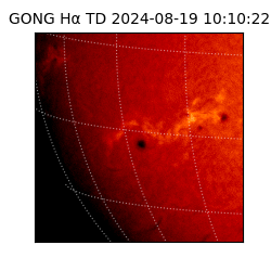 gong - 2024-08-19T10:10:22