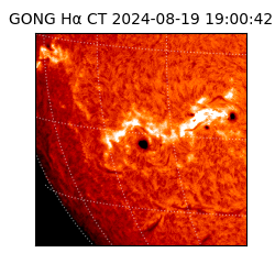 gong - 2024-08-19T19:00:42