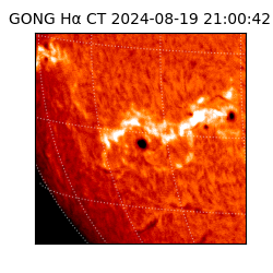 gong - 2024-08-19T21:00:42