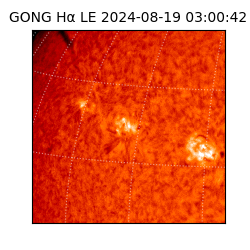 gong - 2024-08-19T03:00:42