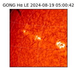 gong - 2024-08-19T05:00:42