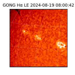 gong - 2024-08-19T08:00:42