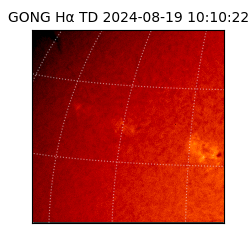 gong - 2024-08-19T10:10:22