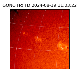 gong - 2024-08-19T11:03:22