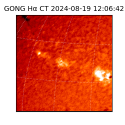 gong - 2024-08-19T12:06:42