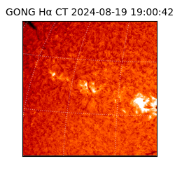 gong - 2024-08-19T19:00:42