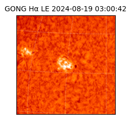 gong - 2024-08-19T03:00:42