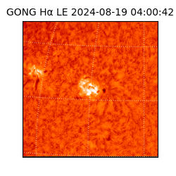 gong - 2024-08-19T04:00:42