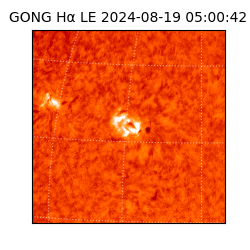 gong - 2024-08-19T05:00:42