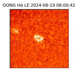 gong - 2024-08-19T06:00:42