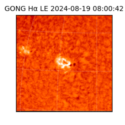 gong - 2024-08-19T08:00:42
