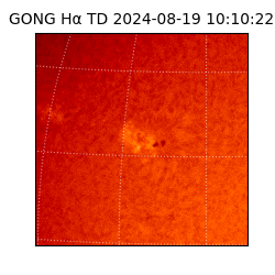 gong - 2024-08-19T10:10:22