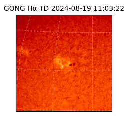 gong - 2024-08-19T11:03:22