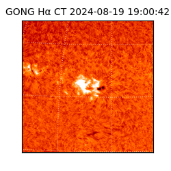 gong - 2024-08-19T19:00:42