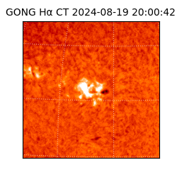 gong - 2024-08-19T20:00:42