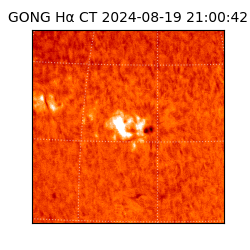 gong - 2024-08-19T21:00:42