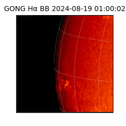 gong - 2024-08-19T01:00:02