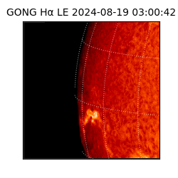 gong - 2024-08-19T03:00:42