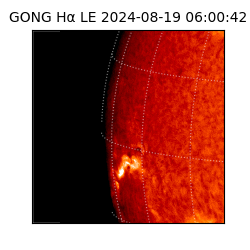 gong - 2024-08-19T06:00:42