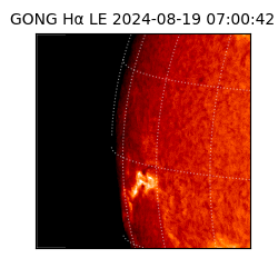 gong - 2024-08-19T07:00:42