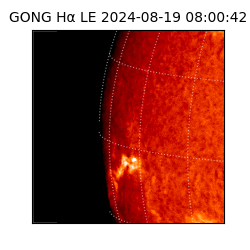 gong - 2024-08-19T08:00:42