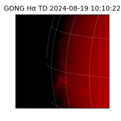 gong - 2024-08-19T10:10:22